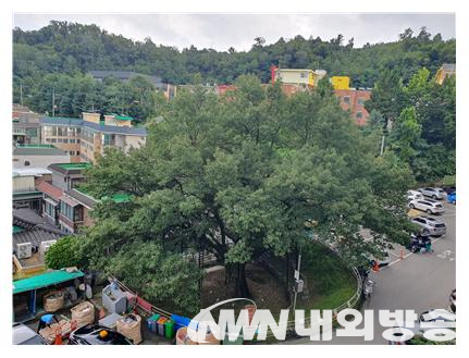 신림동 굴참나무 전경. (사진=전기복 기자)