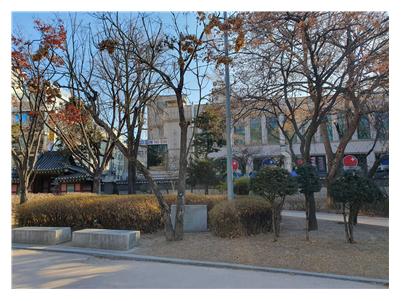 정면 중앙 ‘V’자로 자란 벽오동나무 뒤로 ‘3·1정신 앙양목 식수기념비’가 보인다. (사진=전기복 기자)